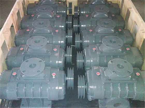 龍鐵直立式鼓風(fēng)機(jī)