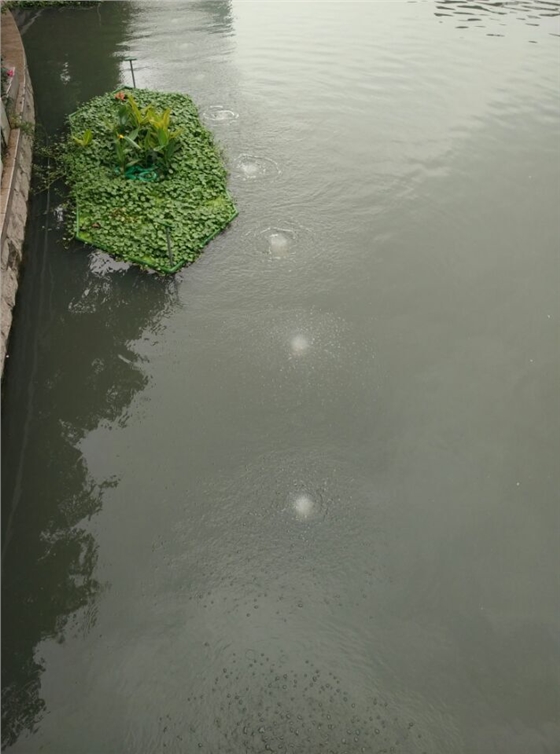 龍鐵沉水式鼓風(fēng)機(jī)廠家