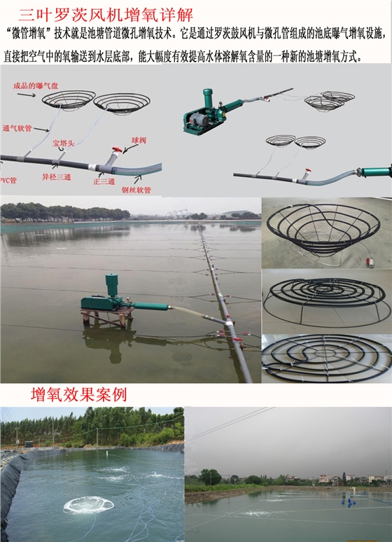 底層增氧機(jī)