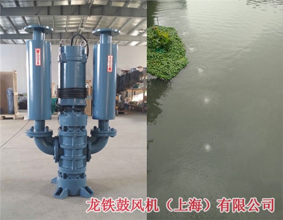 潛水風(fēng)機工作原理