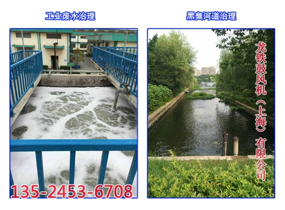 潛水風(fēng)機應(yīng)用行業(yè)