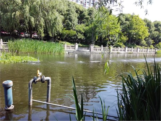 沉水風(fēng)機案例1