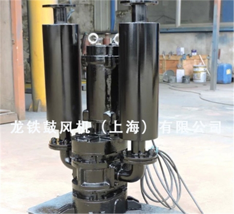 沉水魯氏鼓風機