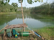 水產(chǎn)養(yǎng)殖鼓風(fēng)機