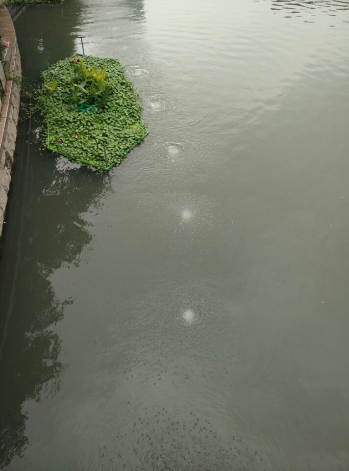 龍鐵沉水式鼓風機廠家