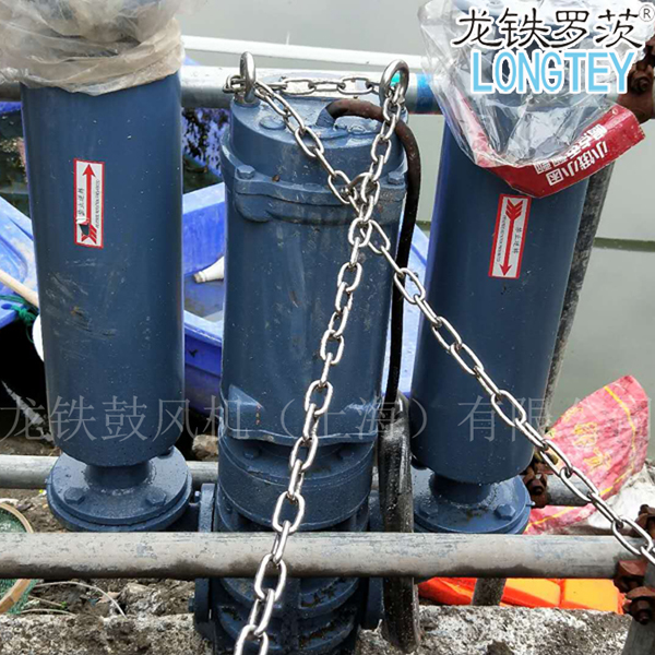 沉水式三葉魯氏鼓風(fēng)機.jpg