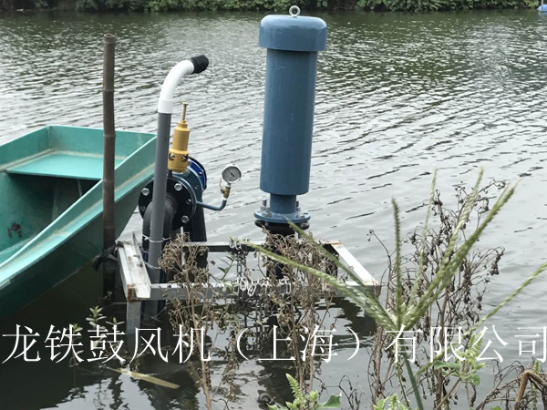 龍鐵沉水式鼓風(fēng)機(jī)多少錢？.jpg