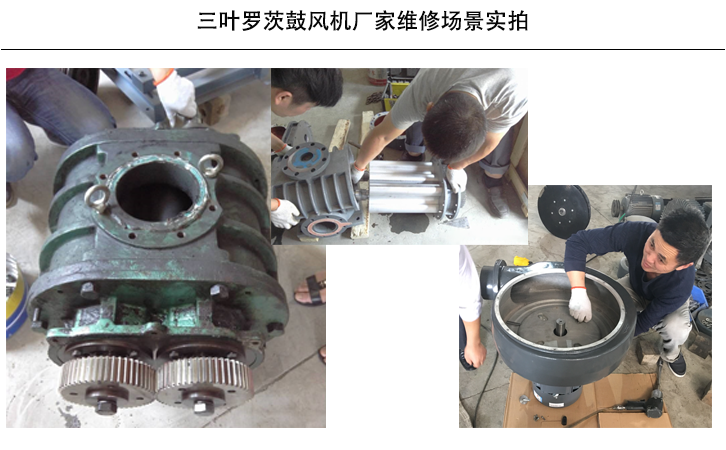 三葉羅茨鼓風(fēng)機維修場景