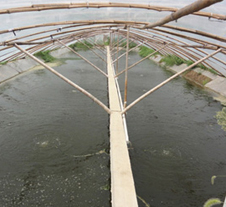 魯氏污水處理成功案例