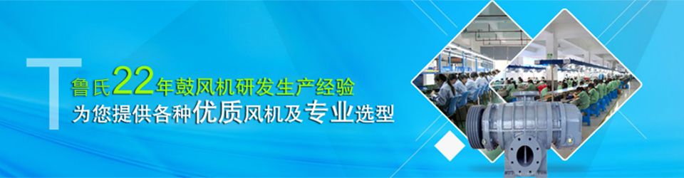22年鼓風機研發(fā)生產(chǎn)經(jīng)營