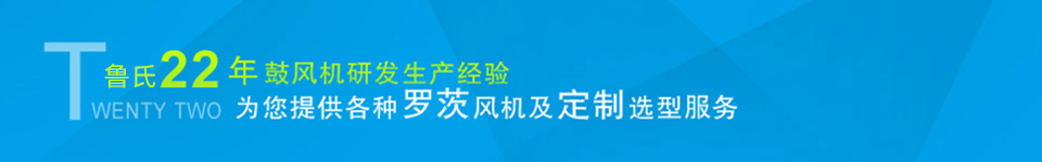 龍鐵鼓風機--中國羅茨鼓風機供應(yīng)商